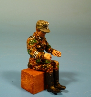 Fahrer Waffen SS