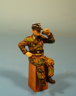 Waffen-SS Panzermann